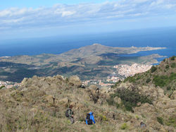 Banyuls