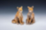 Foxes
