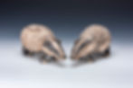 Badgers