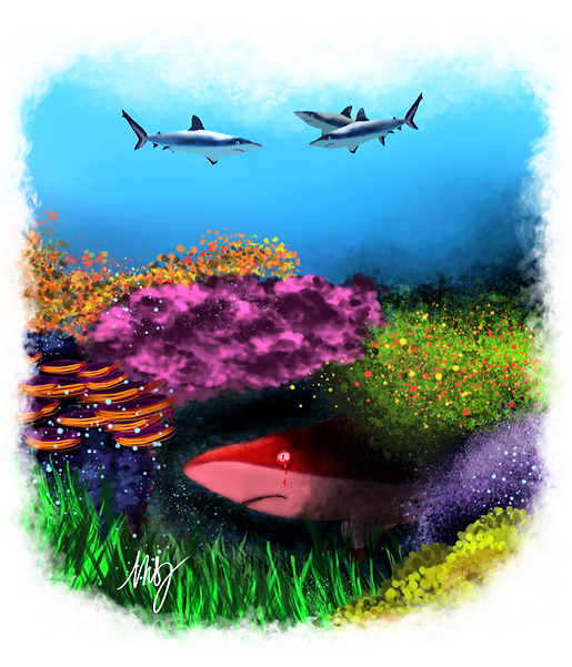 Illustration de Merlin le requin, histoire pour enfants sur l'océan