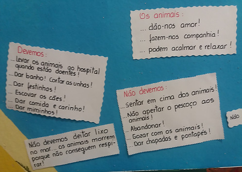 notícia - JI, foto 6.jpg