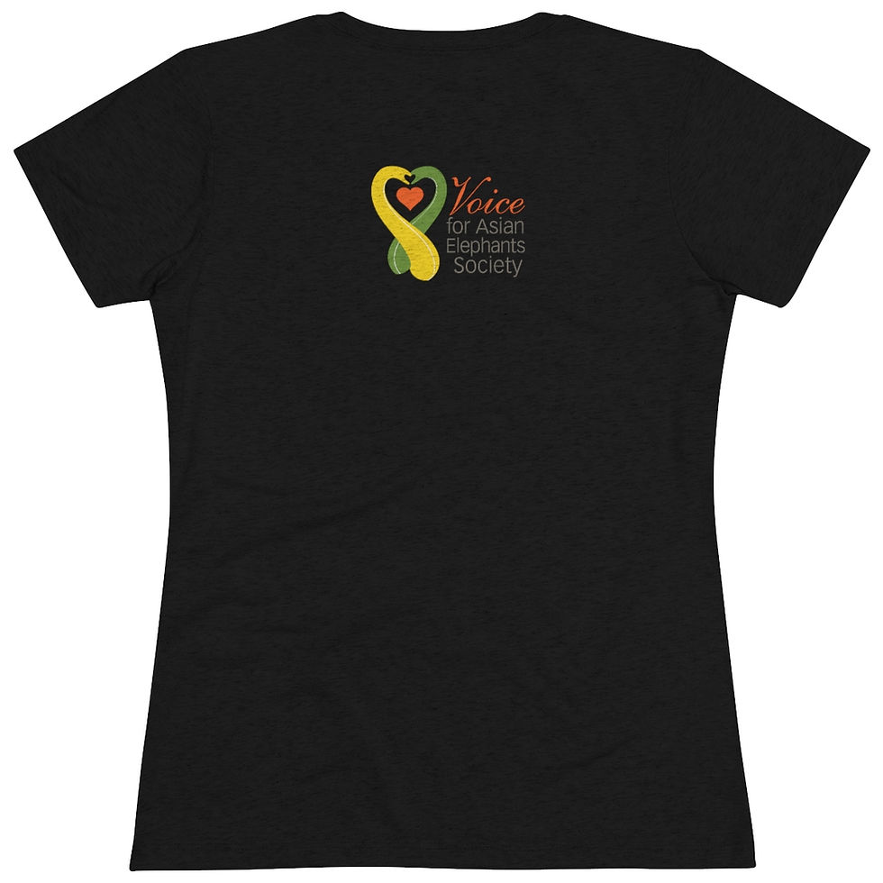 Thumbnail: BACK OFF! (Square graphic) Women's Triblend Tee Heather