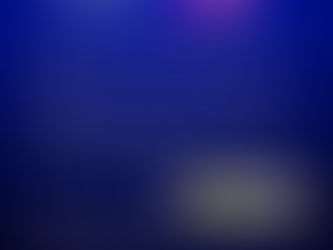 Become a Sponsor at our Dinner