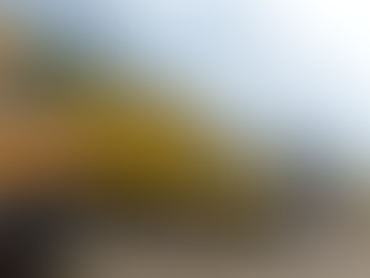 El alto costo de recoger la basura