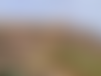 CONSECUENCIA A CAUSA DEL INCENDIO DE AMSA 