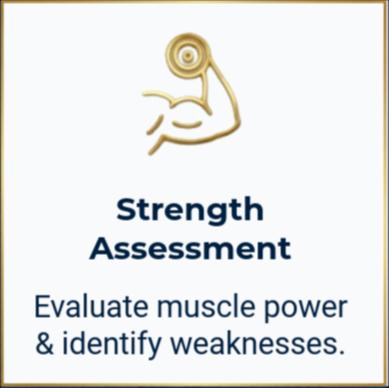 Assess 4