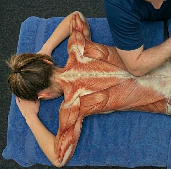 Elite Loosen Up Sports Massage Swansea