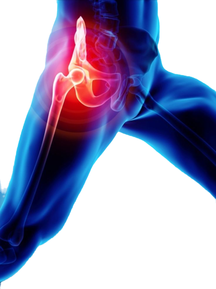 Pelvic and hip injuries