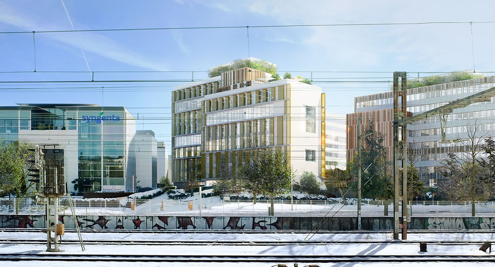vincent rocques architect guy socotec 1.jpg