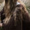 Thumbnail: Ruana Lana Merino