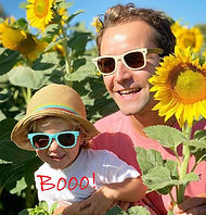 sunflowers chezelet gite