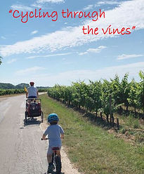 cycling in the vineyards chinon gite