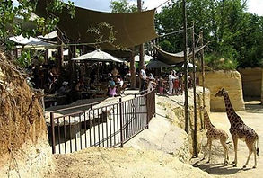 Zoo Doue La Fontaine