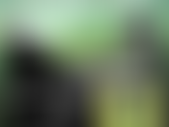 Reggae con mensaje: Mensajeros Reggae rompe esquemas