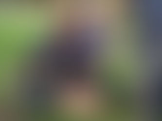 ベルギーの警察が、公園に集まった市民を弾圧