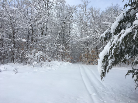 12-17-2022-Trails Open with Caution