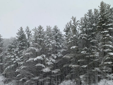 01-20-2023-Trail Report with 9:30 pm update