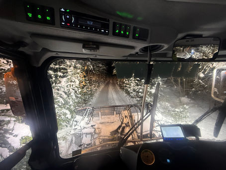 02/14/2026 - Valentine Trail Report