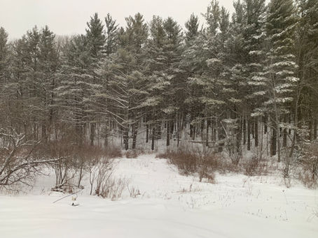 2/25/2022-Trail Report