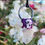 Thumbnail: CLEAR QUARTZ PURPLE SKULL NECKLACE
