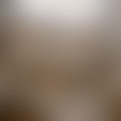 Day 14: Expedited School Enrollment for Foster Children and Harmful Media Materials Bills Advance