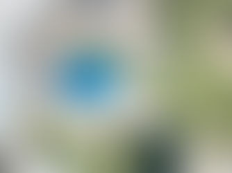 Zweistöckiges Haus, umgeben von grünem Garten. Holzterrasse mit Tisch und Stühlen. Baum im Vordergrund, heller Himmel.