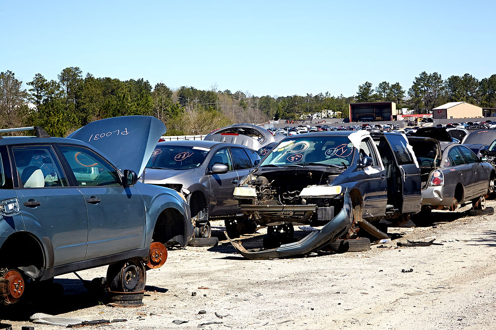 Eye-level view of a well-organized junkyard with neatly arranged cars