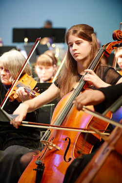 Virginia Weekes, Kate Treloar, Susan Giles 14.084.jpg