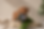 hIGHLAND cOO.png