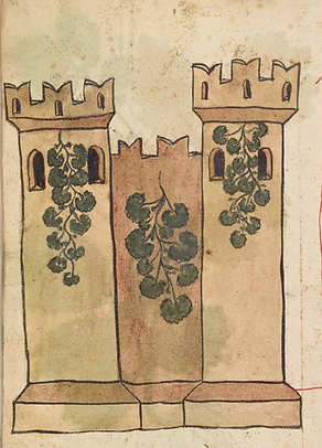 Castle plant.png