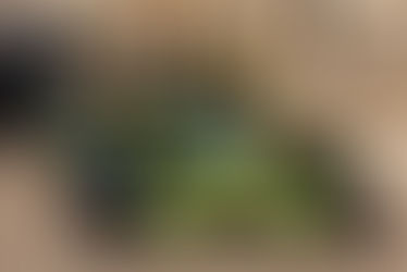 61éme Course de Côte de Vuillafans-Échevannes 2025. Les images de Samedi.