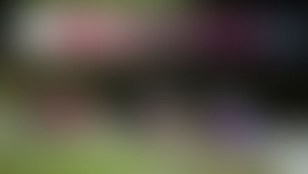 CHAMPIONNAT DE FRANCE FFSA KARTING 2023.