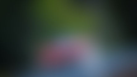 24 HEURES DU MANS 2024. Les images des voitures américaines. 