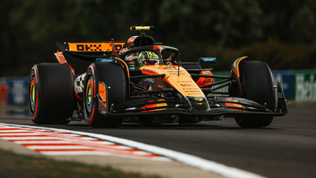 F1. GP de Hongrie. Le résumé de la première séance d'essais libres.