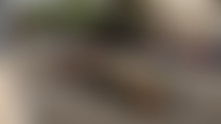 F1. GP d’Azerbaïdjan