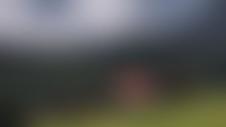 F1: Max Verstappen vainqueur à domicile avec un pari risqué en fin de course.