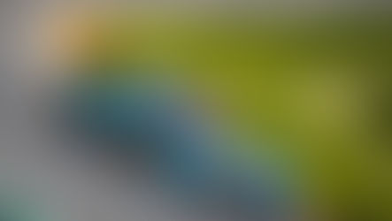 WEC. Les Classements finaux 2023 en images.