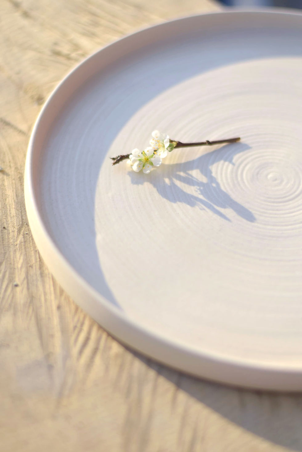 Thumbnail: Textured Stoneware Dinner Plate