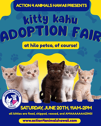 kitty kahu.png