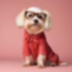 female dog as a snooty advertising creative director.jpg