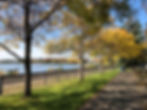 minnetonka-parks.jpg