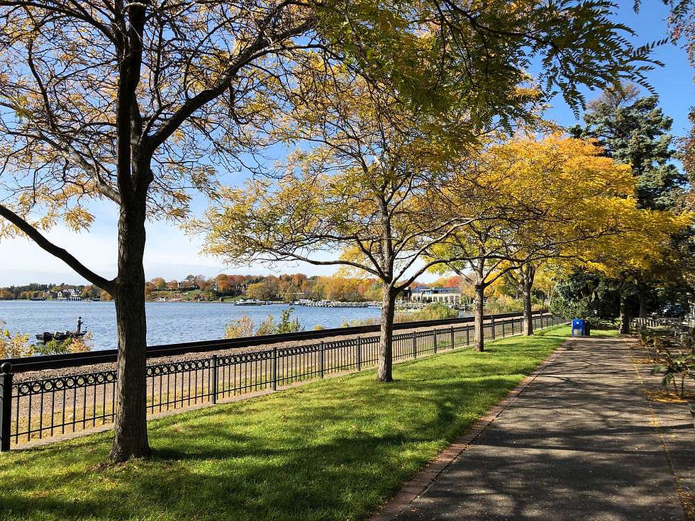 minnetonka-parks.jpg