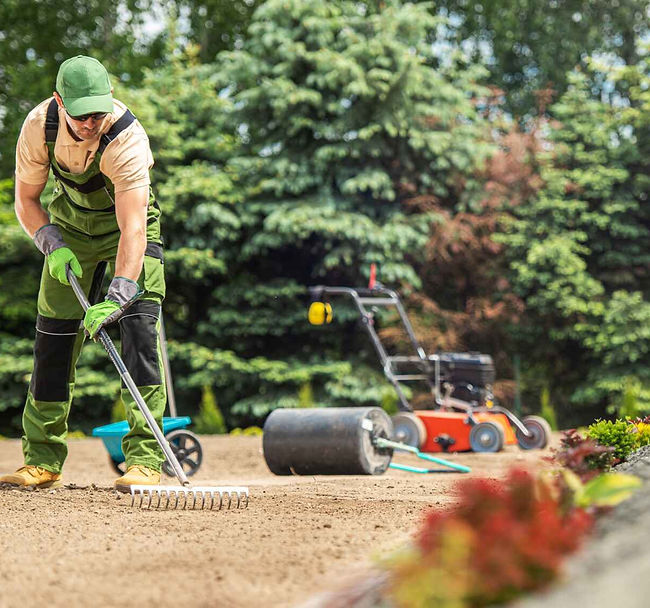 Local Experts Landscape Renovation Care Services (1).jpg