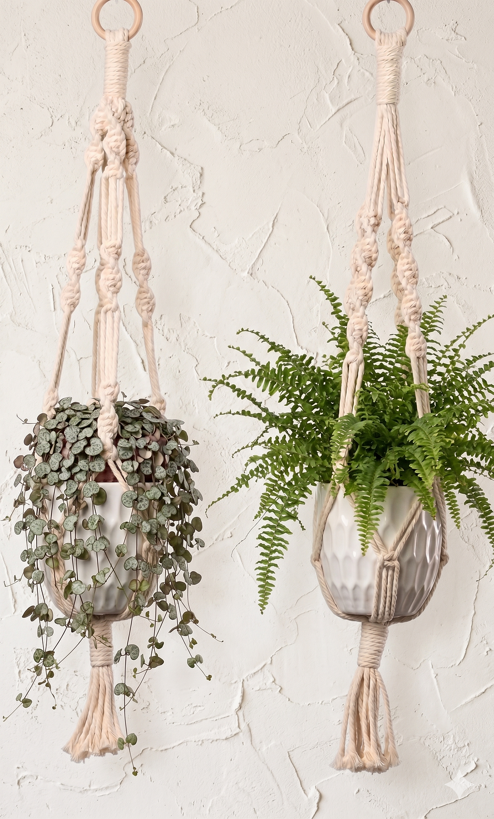 🌿 Suspension Plante en Macramé