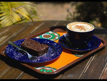 Photo from galupalms (5).jpg