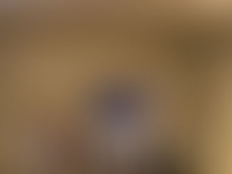 「開發及應用網絡工具:分析亞太裔人口分佈與投票」講座(4/23/2022 Peachtree Corners 希爾頓酒店)