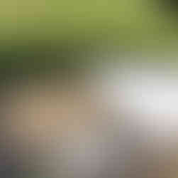 A person constructing a cement wall using a shovel. The image also includes the process of laying coping stones.