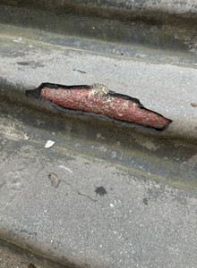 Concrete step with a broken patch, showing red material underneath.