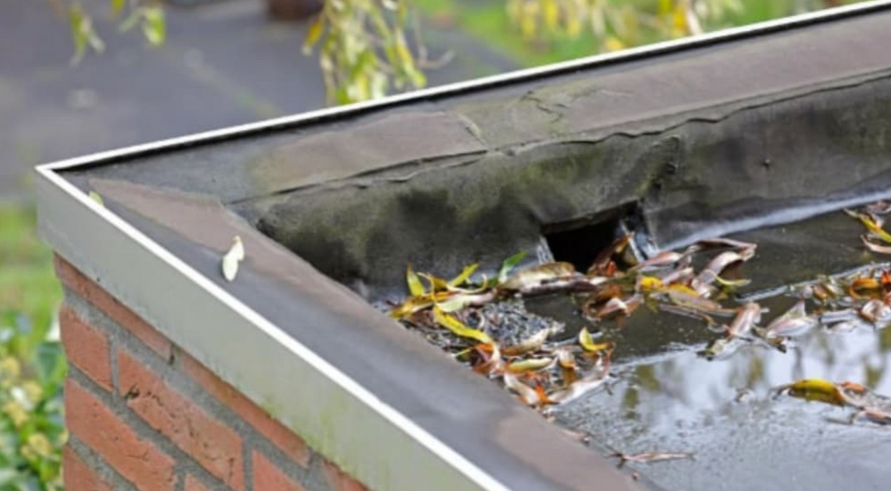 A drain on a flat roof surrounded by fallen leaves
