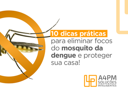 10 dicas práticas para eliminar focos do mosquito da dengue e proteger sua casa